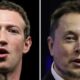Italy stands ready to host as Musk talks up Zuckerberg rumble