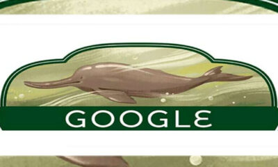 Google partakes in Pakistan's celebrations with doodle