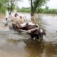 Flood torrents continue playing havoc in Pakpattan, Bahawalnagar