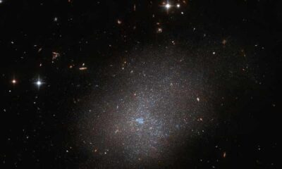 Hubble sees a sparkling neighbor galaxy