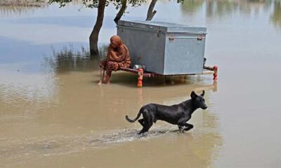 Floods drown hope in Pakistan's impoverished Punjab villages