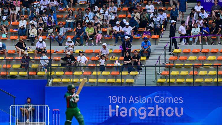 Leather, willow and sunflowers: China gets to grip with cricket