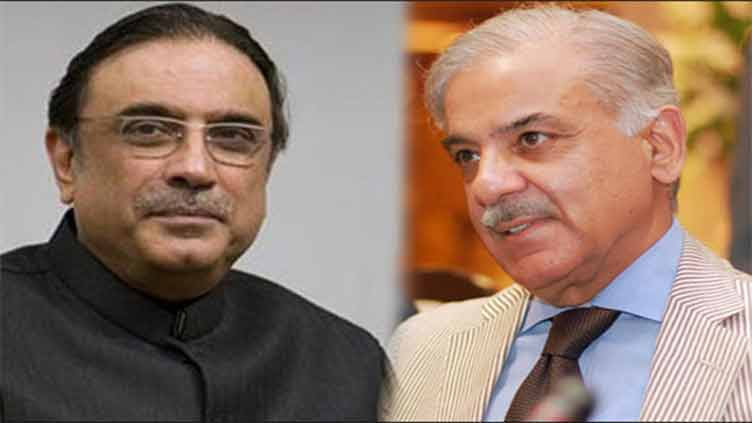 Asif Zardari, Shehbaz Sharif express solidarity with Palestinians