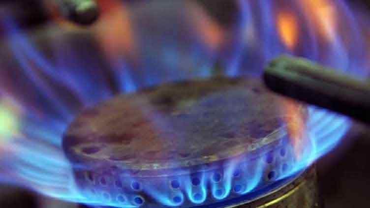 Caretaker cabinet delays gas tariffs hike