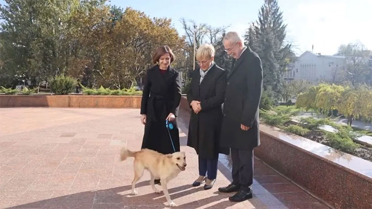 Moldovan dog bites man - but this time, a president