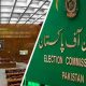 ECP receives Senate-adopted resolution to delay elections