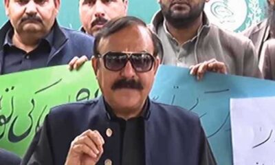 PML-N's Fazal grabs NA-47 Islamabad seat, PTI's Shaheen alleges rigging