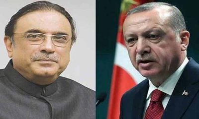 President Zardari calls for strengthening bilateral ties with Turkiye