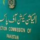 ECP asks political parties to submit election expenses details