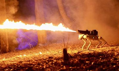 Flame-throwing robotic dog unleashed for sale in US
