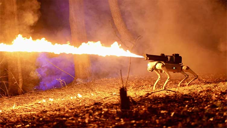 Flame-throwing robotic dog unleashed for sale in US