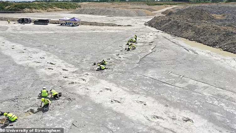 Biggest dinosaur footprint site discovered from 166 million years