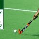 Concrete steps being taken for hockey revival: PHF president